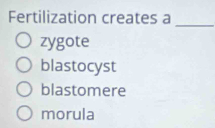 Fertilization creates a_
zygote
blastocyst
blastomere
morula