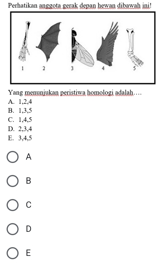 Perhatikan anggota gerak depan hewan dibawah ini!
Yang menunjukan peristiwa homologi adalah…..
A. 1, 2, 4
B. 1, 3, 5
C. 1, 4, 5
D. 2, 3, 4
E. 3, 4, 5
A
B
C
D
E