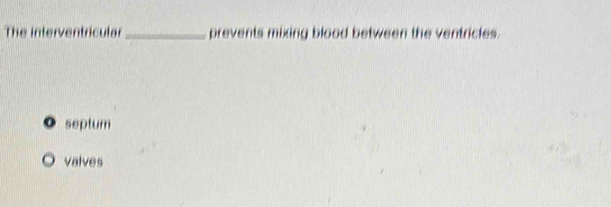 The interventricular _prevents mixing blood between the ventricles.
septum
valves