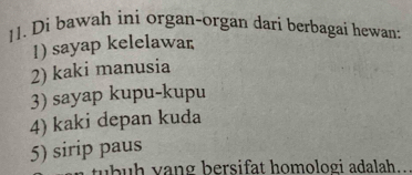 Di bawah ini organ-organ dari berbagai hewan: 
1) sayap kelelawar 
2) kaki manusia 
3) sayap kupu-kupu 
4) kaki depan kuda 
5) sirip paus 
tbuh vang bersifat homologi adalah.