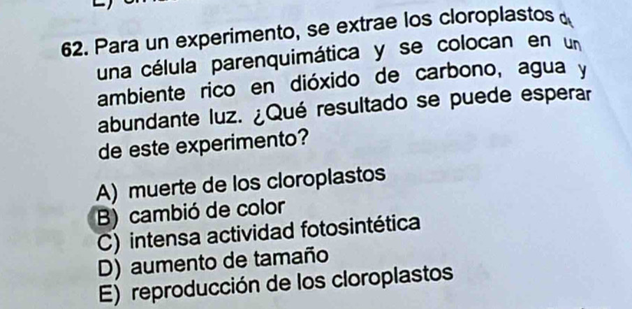 Para un experimento, se extrae los cloroplastos 
una célula parenquimática y se colocan en un
ambiente rico en dióxido de carbono, agua y
abundante luz. ¿Qué resultado se puede esperar
de este experimento?
A) muerte de los cloroplastos
B) cambió de color
C) intensa actividad fotosintética
D) aumento de tamaño
E) reproducción de los cloroplastos