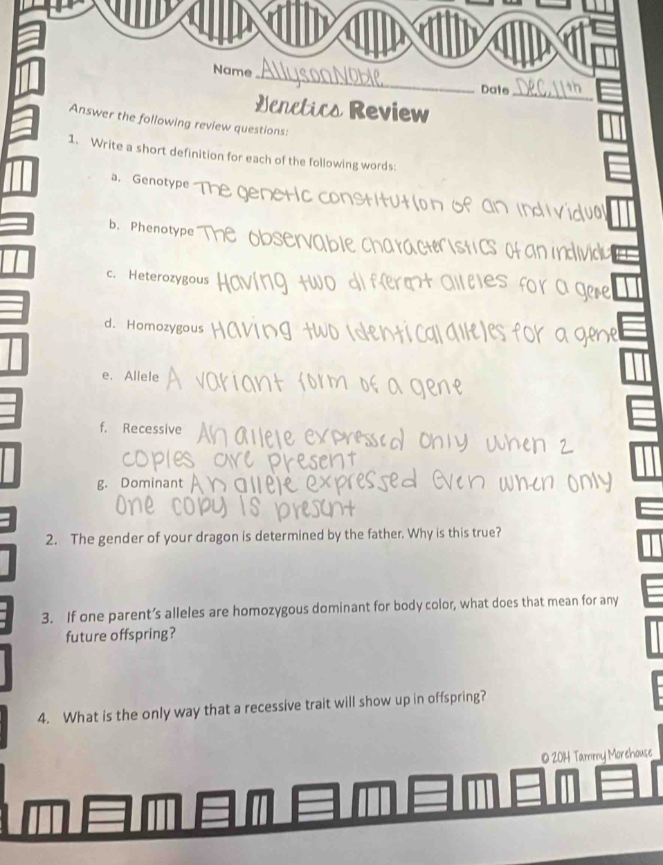 Name_ 
Date_ 
Genetics Review 
Answer the following review questions: 
1. Write a short definition for each of the following words: 
a. Genotype 
n ofanin 
b. Phenotype 
c. Heterozygous 
d. Homozygous 
e. Allele 
f. Recessive 
g. Dominant 
2. The gender of your dragon is determined by the father. Why is this true? 
3. If one parent’s alleles are homozygous dominant for body color, what does that mean for any 
future offspring? 
4. What is the only way that a recessive trait will show up in offspring? 
© 2014 Tammy Morehouse