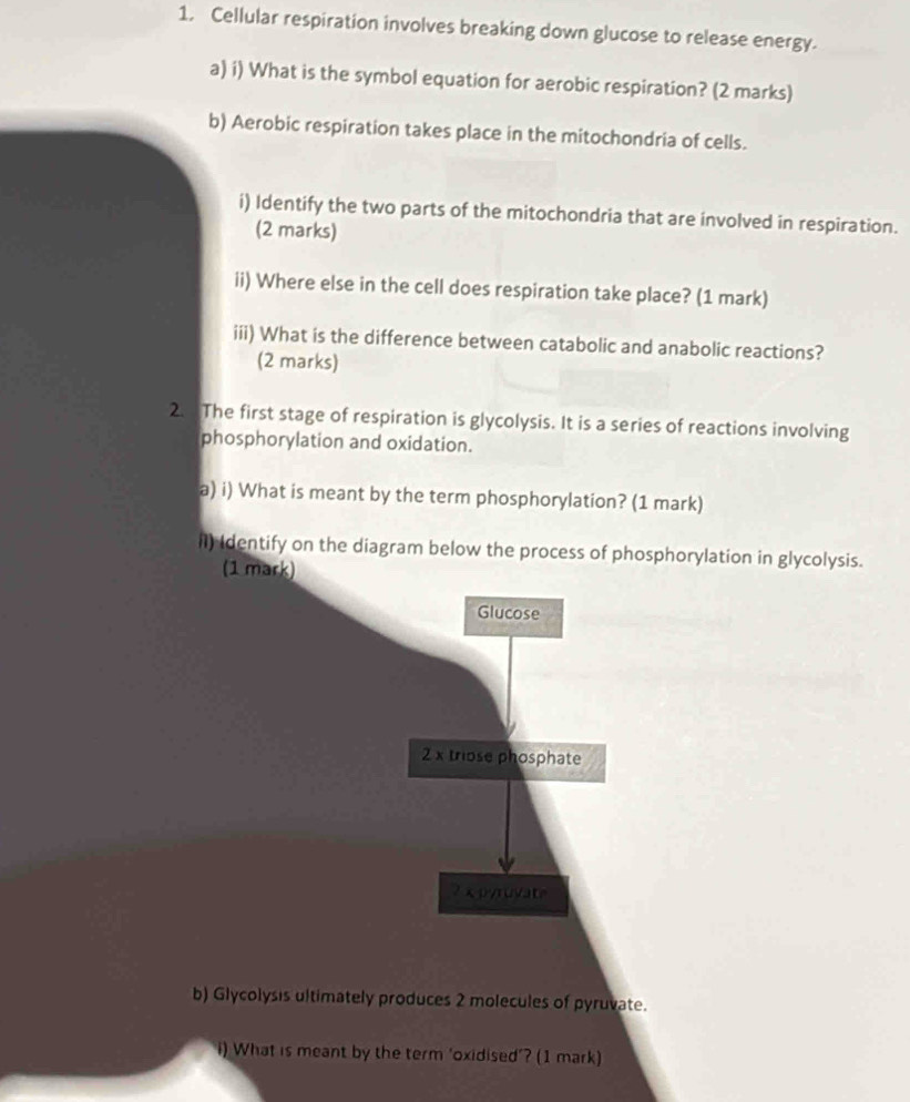 Cellular respiration involves breaking down glucose to release energy. 
a) i) What is the symbol equation for aerobic respiration? (2 marks) 
b) Aerobic respiration takes place in the mitochondria of cells. 
i) Identify the two parts of the mitochondria that are involved in respiration. 
(2 marks) 
ii) Where else in the cell does respiration take place? (1 mark) 
iii) What is the difference between catabolic and anabolic reactions? 
(2 marks) 
2. The first stage of respiration is glycolysis. It is a series of reactions involving 
phosphorylation and oxidation. 
a) i) What is meant by the term phosphorylation? (1 mark) 
il) Identify on the diagram below the process of phosphorylation in glycolysis. 
(1 mark) 
Glucose 
2 x triose phosphate 
2 x pyruvate 
b) Glycolysis ultimately produces 2 molecules of pyruvate. 
i) What is meant by the term 'oxidised’? (1 mark)