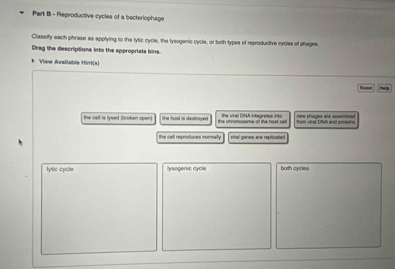 Reproductive cycles of a bacteriophage
Classify each phrase as applying to the lytic cycle, the lysogenic cycle, or both types of reproductive cycles of phages.
Drag the descriptions into the appropriate bins.
View Available Hint(s)
Reset Help
the viral DNA integrates into
the cell is lysed (broken open) the host is destroyed the chromosome of the host cell new phages are assembled 
from viral DNA and protains
the cell reproduces normally viral genes are replicated
lytic cycle lysogenic cycle both cycles