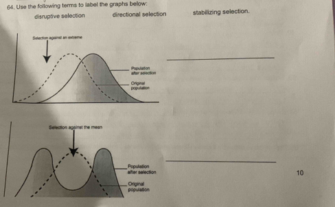 Use the following terms to label the graphs below: 
disruptive selection directional selection stabilizing selection. 
_ 
_
10