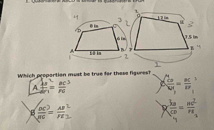 Quadrilateral ABCD is similar to quadrilateral EFGH
Which proportion must be true for these figures?
A  AB/BF = BC/FG 
C frac ^A_CD^CH_3= BC/EF 