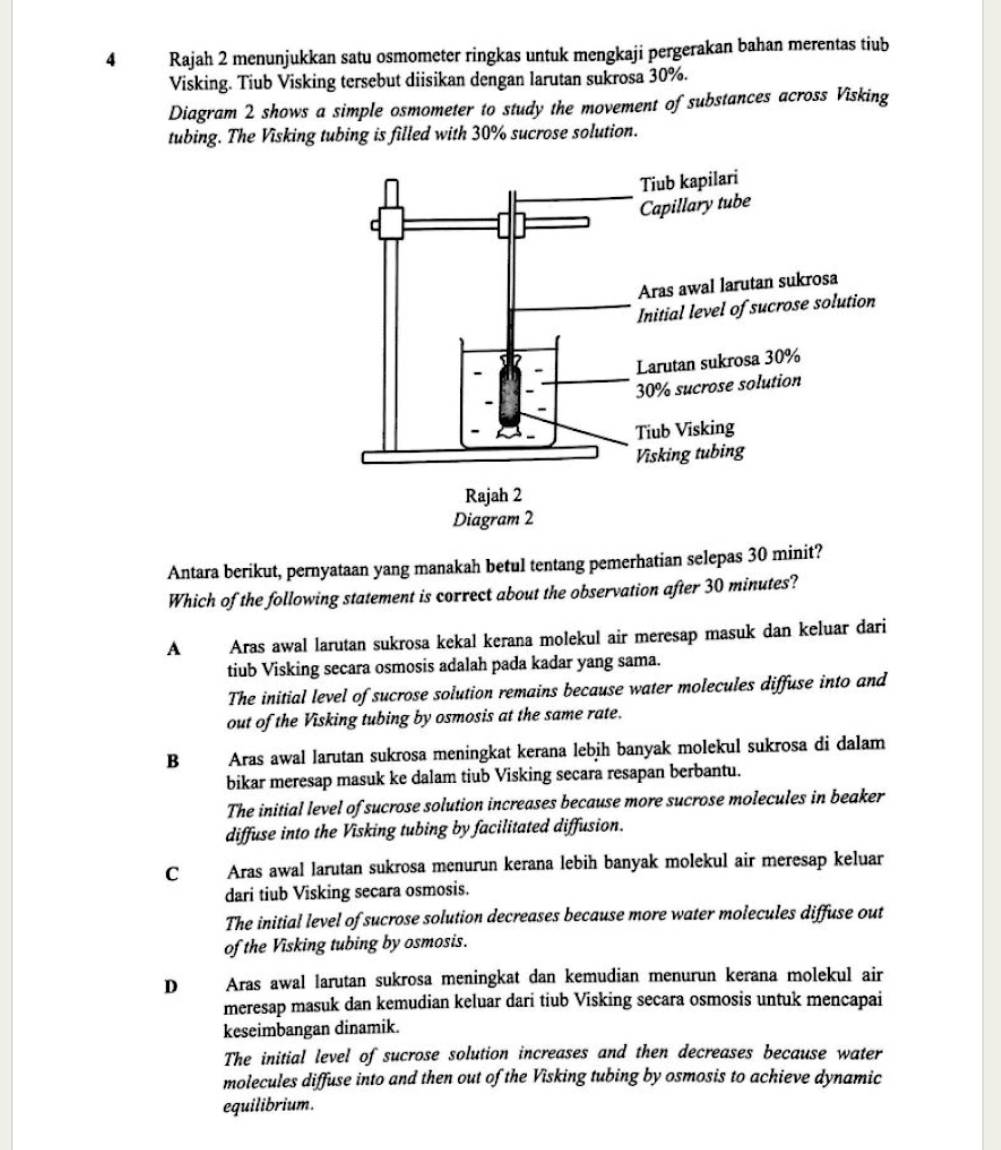 Rajah 2 menunjukkan satu osmometer ringkas untuk mengkaji pergerakan bahan merentas tiub
Visking. Tiub Visking tersebut diisikan dengan larutan sukrosa 30%.
Diagram 2 shows a simple osmometer to study the movement of substances across Visking
tubing. The Visking tubing is filled with 30% sucrose solution.
Antara berikut, pernyataan yang manakah betul tentang pemerhatian selepas 30 minit?
Which of the following statement is correct about the observation after 30 minutes?
A Aras awal larutan sukrosa kekal kerana molekul air meresap masuk dan keluar dari
tiub Visking secara osmosis adalah pada kadar yang sama.
The initial level of sucrose solution remains because water molecules diffuse into and
out of the Visking tubing by osmosis at the same rate.
B Aras awal larutan sukrosa meningkat kerana lebih banyak molekul sukrosa di dalam
bikar meresap masuk ke dalam tiub Visking secara resapan berbantu.
The initial level of sucrose solution increases because more sucrose molecules in beaker
diffuse into the Visking tubing by facilitated diffusion.
C Aras awal larutan sukrosa menurun kerana lebih banyak molekul air meresap keluar
dari tiub Visking secara osmosis.
The initial level of sucrose solution decreases because more water molecules diffuse out
of the Visking tubing by osmosis.
D Aras awal larutan sukrosa meningkat dan kemudian menurun kerana molekul air
meresap masuk dan kemudian keluar dari tiub Visking secara osmosis untuk mencapai
keseimbangan dinamik.
The initial level of sucrose solution increases and then decreases because water
molecules diffuse into and then out of the Visking tubing by osmosis to achieve dynamic
equilibrium.