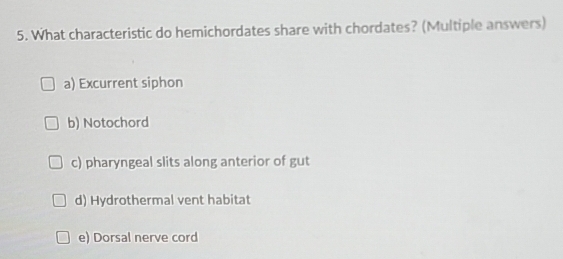 Gelöst:What characteristic do hemichordates share with chordates ...