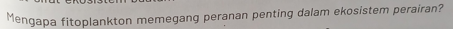 Mengapa fitoplankton memegang peranan penting dalam ekosistem perairan?