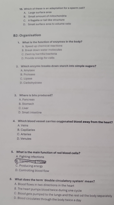 Which of these is an adaptation for a sperm cell?
A. Large surface area
B. Small amount of mitochondria
C. A flagella or tail like structure
D. Small surface area to volume ratio
B2: Organisation
1. What is the function of enzymes in the body?
A. Speed up chemical reactions
B. Break down water molecules
C. Destroy harmful bacteria
D. Provide energy for cells
2. Which enzyme breaks down starch into simple sugars?
A. Amylase
B Protease
C. Lipase
D. Carbohydrase
3. Where is bile produced?
A. Pancreas
B. Stomach
C. Liver
D. Small intestine
4. Which blood vessel carries oxygenated blood away from the heart?
A. Veins
B. Capillaries
C. Arteries
D. Venules
5. What is the main function of red blood cells?
A. Fighting infections
B. Transporting öxygen
C. Producing energy
D. Controlling blood flow
6. What does the term 'double circulatory system' mean?
A. Blood flows in two directions in the heart
B. The heart pumps blood twice during one cycle
C. Blood gets pumped to the lungs and the rest od the body separately
D. Blood circulates through the body twice a day