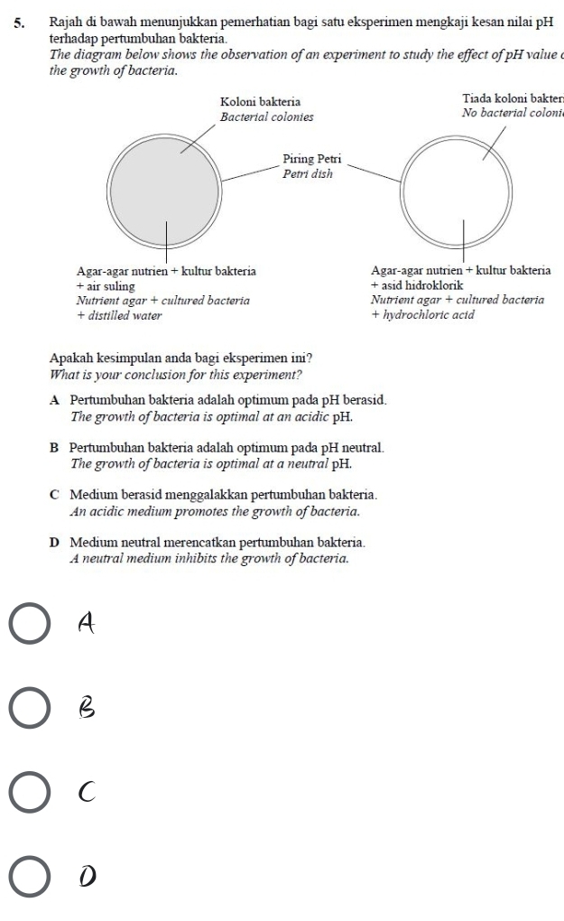 Rajah di bawah menunjukkan pemerhatian bagi satu eksperimen mengkaji kesan nilai pH
terhadap pertumbuhan bakteria.
The diagram below shows the observation of an experiment to study the effect of pH value a
the growth of bacteria.
Tiada koloni bakter
No bacterial coloni
a
Apakah kesimpulan anda bagi eksperimen ini?
What is your conclusion for this experiment?
A Pertumbuhan bakteria adalah optimum pada pH berasid.
The growth of bacteria is optimal at an acidic pH.
B Pertumbuhan bakteria adalah optimum pada pH neutral.
The growth of bacteria is optimal at a neutral pH.
C Medium berasid menggalakkan pertumbuhan bakteria.
An acidic medium promotes the growth of bacteria.
D Medium neutral merencatkan pertumbuhan bakteria.
A neutral medium inhibits the growth of bacteria.
A
B
C
D