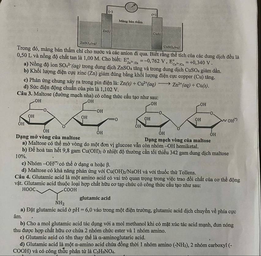 Trong đó, màng bán t các dung dịch đều là
0,50 L và nồng độ chất tan là 1,00 M. Cho biết: E_Zn^(2+)/Zn^circ =-0,762V,E_Cu^(2+)/Cu^circ =+0,340V.
a) Nồng độ ion SO_4^((2-)(aq) trong dung dịch ZnSO₄ tăng và trong dung dịch CuSO_4) giảm dần.
b) Khối lượng điện cực zinc (Zn) giảm đúng bằng khối lượng điện cực copper (Cu) tăng.
c) Phản ứng chung xảy ra trong pin điện là: Zn(s)+Cu^(2+)(aq)to Zn^(2+)(aq)+Cu(s).
d) Sức điện động chuẩn của pin là 1,102 V.
Câu 3. Maltose (đường mạch nha) có công thức cấu tạo như sau:
g mở vòng của maltose  Dạng mạch vòng của maltose
a) Maltose có thể mở vòng do một đơn vị glucose vẫn còn nhóm -OH hemiketal.
b) Để hoà tan hết 9,8 gam Cu(OH)_2 ở nhiệt độ thường cần tối thiểu 342 gam dung dịch maltose
10%.
e) Nhóm -OH^((*)) có thể ở dạng α hoặc β.
d) Maltose có khả năng phản ứng với Cu(OH)_2 /N aOF I và với thuốc thử Tollens.
Câu 4. Glutamic acid là một amino acid có vai trò quan trọng trong việc trao đổi chất của cơ thể động
vật. Glutamic acid thuộc loại hợp chất hữu cơ tạp chức có công thức cấu tạo như sau:
HOOC COOH
glutamic acid
NH_2
a) Đặt glutamic acid ở pH=6,0 vào trong một điện trường, glutamic acid dịch chuyền về phía cực
âm.
b) Cho a mol glutamic acid tác dụng với a mol methanol khi có mặt xúc tác acid mạnh, đun nóng
thu được hợp chất hữu cơ chứa 2 nhóm chức ester và 1 nhóm amino.
c) Glutamic asid có tên thay thế là α-aminoglutaric acid.
d) Glutamic acid là một α-amino acid chứa đồng thời 1 nhóm amino (-NH₂), 2 nhóm carboxyl (-
COOH) và có công thức phân tử là C_5H_9NO_4.