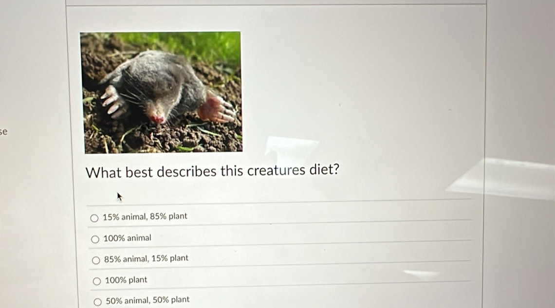 What best describes this creatures diet?
15% animal, 85% plant
100% animal
85% animal, 15% plant
100% plant
50% animal, 50% plant