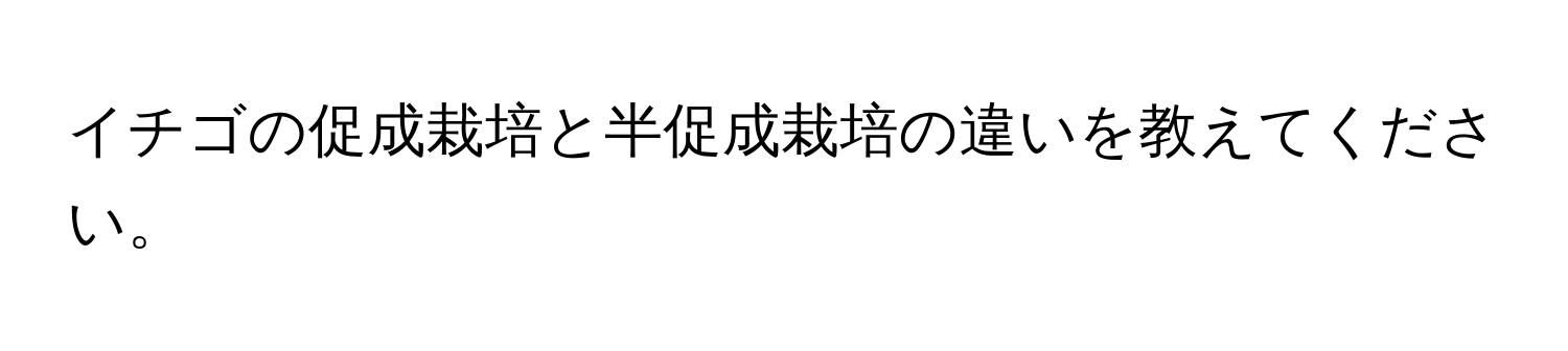 イチゴの促成栽培と半促成栽培の違いを教えてください。