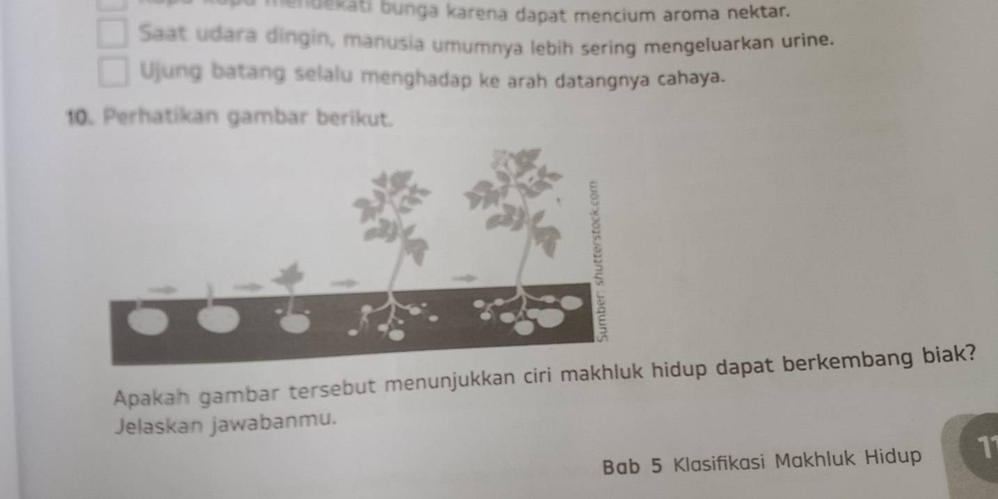 mendekati bunga karena dapat mencium aroma nektar. 
Saat udara dingin, manusia umumnya lebih sering mengeluarkan urine. 
Ujung batang selalu menghadap ke arah datangnya cahaya. 
10. Perhatikan gambar berikut. 
Apakah gambar tersebut menunjukkan ciri makhluk hidup dapat berkembang biak? 
Jelaskan jawabanmu. 
Bab 5 Klasifikasi Makhluk Hidup 11