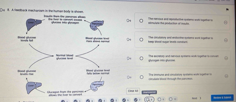 A feedback mechanism in the human body is shown.
The nervous and reproductive systems work together to
stimulate the production of insulin.
The circullatory and endocrine systems work together to
keep blood sugar levels constant.
The excretory and nervous systems work together to convert
glycogen into glucose.
The immune and circulatory systems work together to
circulate blood through the pancreas.
Clear All Unanswered
10 Next ) Review & Submit