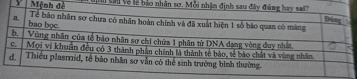 Th sau về tế bào nhâ