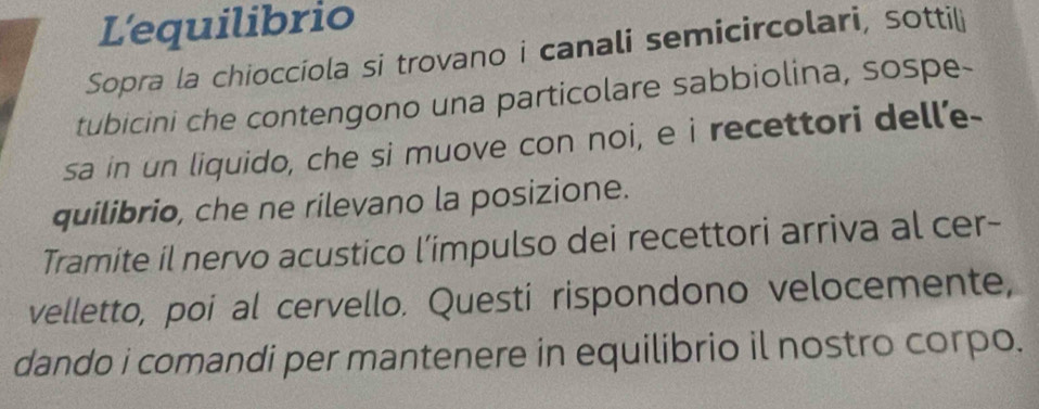 L'equilibrio 
Sopra la chiocciola si trovano i canali semicircolari, sotti 
tubicini che contengono una particolare sabbiolina, sospe- 
sa in un liquido, che si muove con noi, e i recettori dell'e- 
quilibrio, che ne rilevano la posizione. 
Tramite il nervo acustico l’impulso dei recettori arriva al cer- 
velletto, poi al cervello. Questi rispondono velocemente, 
dando i comandi per mantenere in equilibrio il nostro corpo.