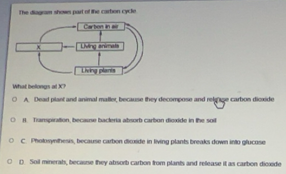 Solved: The diagram shows part of the carbon cycle What belongs at X? A ...