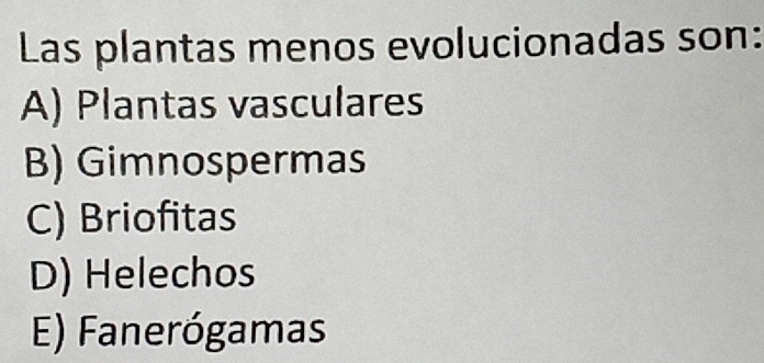 Las plantas menos evolucionadas son:
A) Plantas vasculares
B) Gimnospermas
C) Briofitas
D) Helechos
E) Fanerógamas