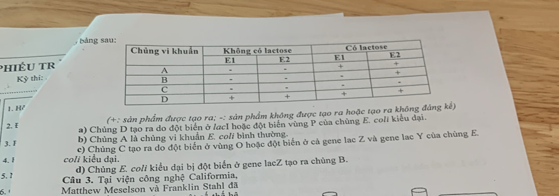 bảng
phIÉU TR
Kỳ thi:
1. H^2
2. F (+: sản phẩm được tạo ra; -: sản phẩm không được tạo ra hoặc tạo ra k
a) Chủng D tạo ra do đột biến ở lacI hoặc đột biến vùng P của chùng E. coli kiểu đại.
3. F b) Chùng A là chủng vi khuẩn E. coli bình thường.
c) Chủng C tạo ra do đột biến ở vùng O hoặc đột biến ở cả gene lac Z và gene lac Y của chủng E.
4. I coli kiểu dại.
d) Chủng E. coli kiểu dại bị đột biến ở gene lacZ tạo ra chủng B.
5. 1 Câu 3. Tại viện công nghệ Califormia,
6. ' Matthew Meselson và Franklin Stahl đã