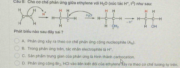 Cau 8: Cho cơ chế phản ứng giữa ethylene với H_2O (xúc tác H^+,t^0) như sau:
H H H H
H_2
H- C -H H C C H
H^4
H
H _4^(0H_2)
Phát biểu nào sau đây sai ?
A. Phán ứng xáy ra theo cơ chế phản ứng cộng nucleophile (A_N).
B. Trong phản ứng trên, tác nhân electrophile là H^+
C. Sản phẩm trung gian của phán ứng là hình thành carbocation.
D. Phản ứng cộng Br_2 , HCI vào liên kiết đôi của ethylene xáy ra theo cơ chế tương tự trên.