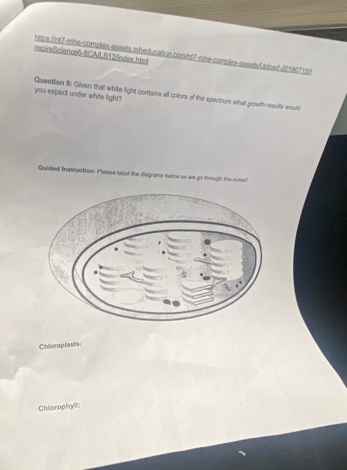 nspireScience6-8CA/LS12/index.html https://nt7-mhe-complex-assets.mheducation.com/nt7-mhe-complex-assets/Upload-20190715/l 
Question 5: Given that white light contains all colors of the spectrum what growth results would 
you expect under white light? 
Guided Instruction: Please label the diagrams below as we go through the notes! 
Chloroplasts: 
Chlorophyll: