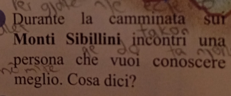 Durante la camminata suí 
Monti Sibillini incontri una 
persona che vuoi conoscere 
meglio. Cosa dici?