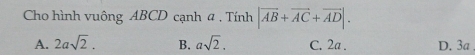 Cho hình vuông ABCD cạnh a . Tính |vector AB+vector AC+vector AD|.
A. 2asqrt(2). B. asqrt(2). C. 2a. D. 3a