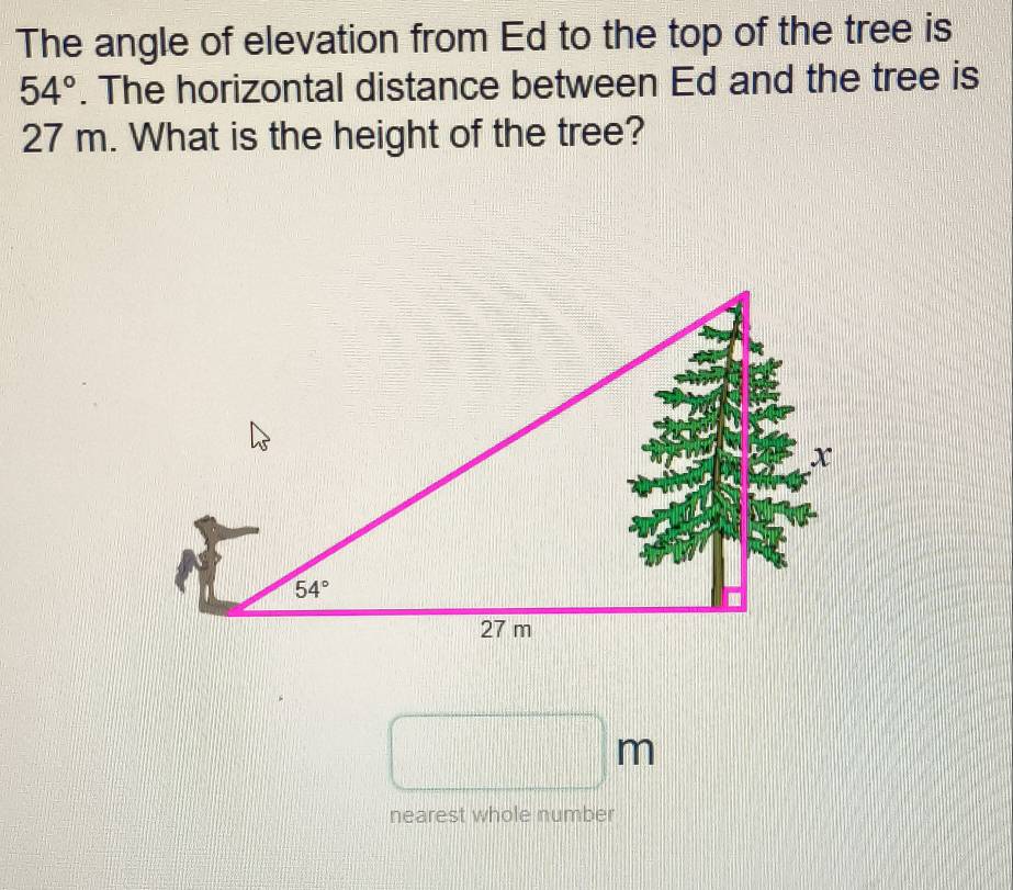 The angle of elevation from Ed to the top of the tree is
54°. The horizontal distance between Ed and the tree is
27 m. What is the height of the tree?
m
nearest whole number