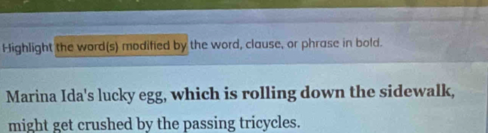 Highlight the word(s) modified by the word, clause, or phrase in bold. 
Marina Ida's lucky egg, which is rolling down the sidewalk, 
might get crushed by the passing tricycles.