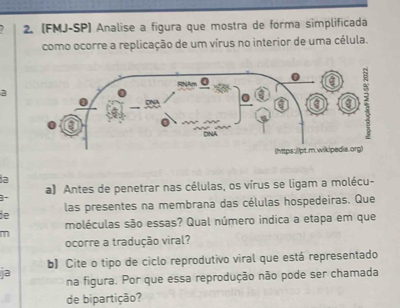 a 2. (FMJ-SP) Analise a figura que mostra de forma simplificada 
como ocorre a replicação de um vírus no interior de uma célula. 
a 
a 
a) Antes de penetrar nas células, os vírus se ligam a molécu- 
3 
las presentes na membrana das células hospedeiras. Que 
de 
moléculas são essas? Qual número indica a etapa em que 
m 
ocorre a tradução viral? 
b) Cite o tipo de ciclo reprodutivo viral que está representado 
ja 
na figura. Por que essa reprodução não pode ser chamada 
de bipartição?