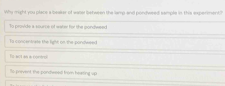 Why might you place a beaker of water between the lamp and pondweed sample in this experiment?
To provide a source of water for the pondweed
To concentrate the light on the pondweed
To act as a control
To prevent the pondweed from heating up