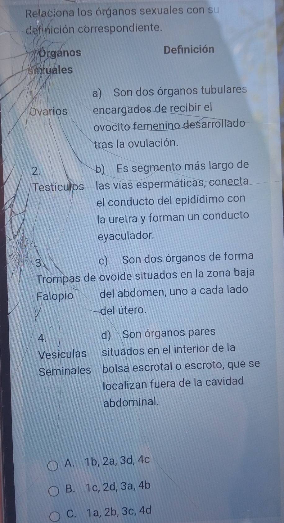 Relaciona los órganos sexuales con su
definición correspondiente.
porganos Definición
Sexuales
a) Son dos órganos tubulares
Ovarios encargados de recibir el
ovocito femenino desarrollado
tras la ovulación.
2.
b) Es segmento más largo de
'Testículos ' las vías espermáticas, conecta
el conducto del epidídimo con
la uretra y forman un conducto
eyaculador.
3 c) Son dos órganos de forma
Trompas de ovoide situados en la zona baja
Falopio del abdomen, uno a cada lado
del útero.
4. d) Son órganos pares
Vesículas situados en el interior de la
Seminales bolsa escrotal o escroto, que se
localizan fuera de la cavidad
abdominal.
A. 1b, 2a, 3d, 4c
B. 1c, 2d, 3a, 4b
C. 1a, 2b, 3c, 4d