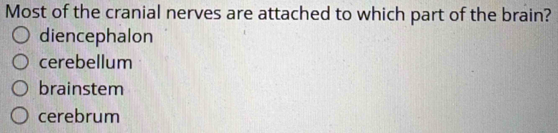 Most of the cranial nerves are attached to which part of the brain?
diencephalon
cerebellum
brainstem
cerebrum