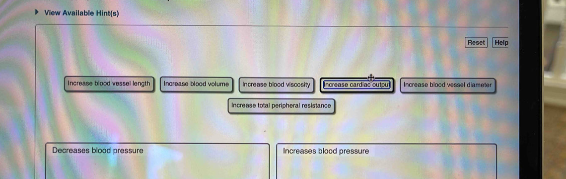 View Available Hint(s)
Reset Help
Increase blood vessel length Increase blood volume Increase blood viscosity Increase cardiac output Increase blood vessel diameter
Increase total peripheral resistance
Decreases blood pressure Increases blood pressure