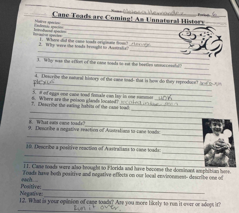 Name: Period: 
_ 
Cane Toads are Coming! An Unnatural History_ 
Native species: 
Endemic species: 
Introduced species:_ 
_ 
Invasive species:_ 
1. Where did the cane toads originate from? 
_ 
_ 
2. Why were the toads brought to Australia?_ 
_ 
_ 
_ 
3. Why was the effort of the cane toads to eat the beetles unsuccessful? 
_ 
_ 
4. Describe the natural history of the cane toad- that is how do they reproduce? 
_ 
_ 
5. # of eggs one cane toad female can lay in one summer 
6. Where are the poison glands located?_ 
_ 
_ 
7. Describe the eating habits of the cane toad: 
_ 
_ 
8. What eats cane toads? 
_ 
_ 
9. Describe a negative reaction of Australians to cane toads: 
_ 
_ 
10. Describe a positive reaction of Australians to cane toads: 
_ 
_ 
11. Cane toads were also brought to Florida and have become the dominant amphibian here. 
Toads have both positive and negative effects on our local environment- describe one of 
each… 
_ 
Positive: 
_ 
Negative: 
12. What is your opinion of cane toads? Are you more likely to run it over or adopt it? 
_ 
_
