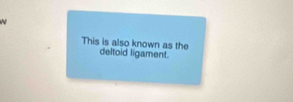 This is also known as the 
deltoid ligament.