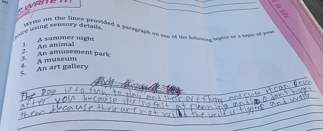 in 
_ 

_ 
É 
moice using sensory details. Write on the lines provided a paragraph on one of the following topics or a topic of your 
1. A summer night 
2. An animal 
3. An amusement park 
4. A museum 
5. An art gallery 
_ 
_ 
_ 
_ 
_ 
_ 
_