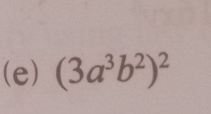 (3a^3b^2)^2