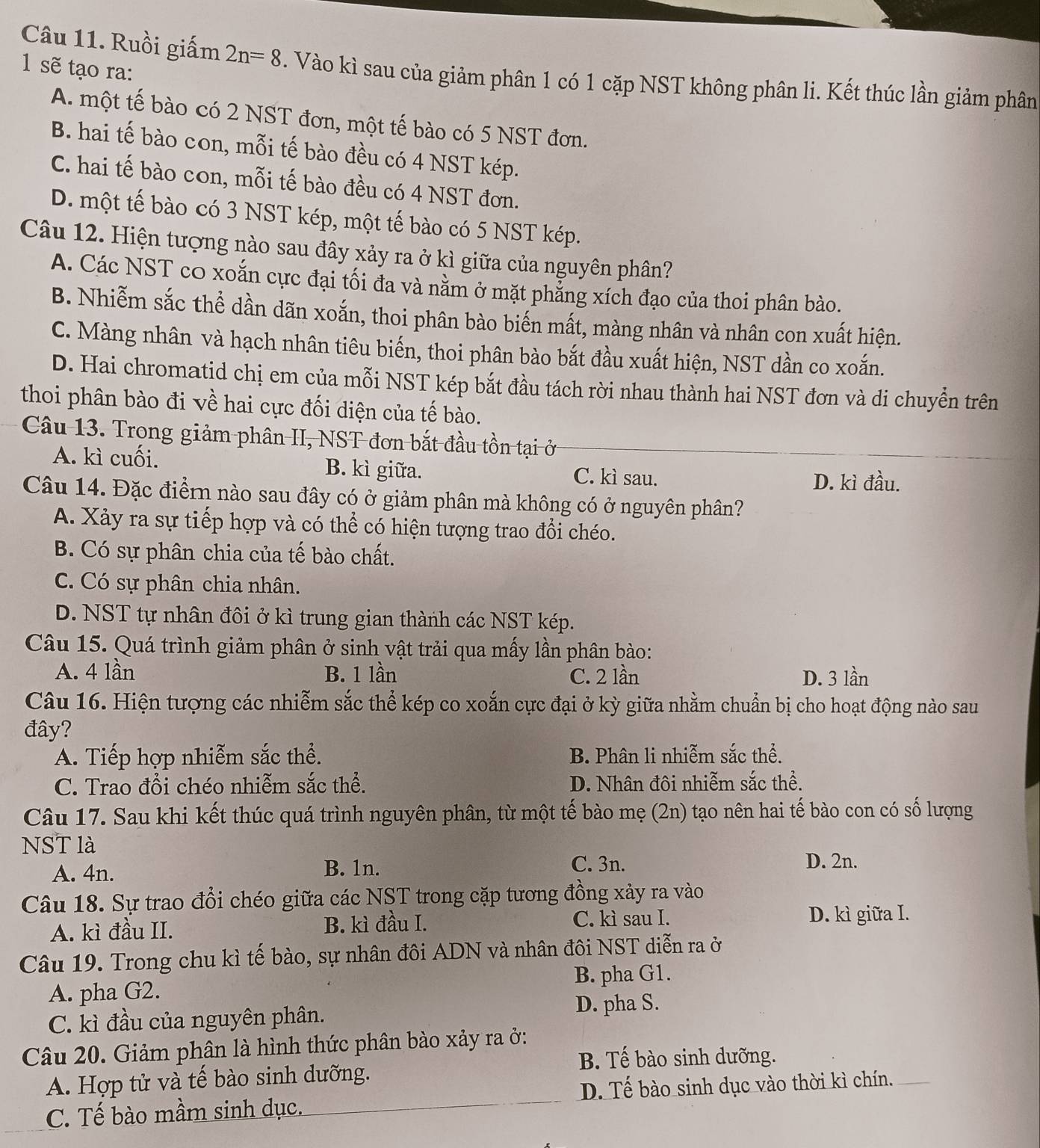 sẽ tạo ra:
Câu 11. Ruồi giấm 2n=8. Vào kì sau của giảm phân 1 có 1 cặp NST không phân li. Kết thúc lần giảm phân
A. một tế bào có 2 NST đơn, một tế bào có 5 NST đơn.
B. hai tế bào con, mỗi tế bào đều có 4 NST kép.
C. hai tế bào con, mỗi tế bào đều có 4 NST đơn.
D. một tế bào có 3 NST kép, một tế bào có 5 NST kép.
Câu 12. Hiện tượng nào sau đây xảy ra ở kì giữa của nguyên phân?
A. Các NST co xoắn cực đại tối đa và nằm ở mặt phẳng xích đạo của thoi phân bào.
B. Nhiễm sắc thể dần dãn xoắn, thoi phân bào biến mất, màng nhân và nhân con xuất hiện.
C. Màng nhân và hạch nhân tiêu biến, thoi phân bào bắt đầu xuất hiện, NST dần co xoắn.
D. Hai chromatid chị em của mỗi NST kép bắt đầu tách rời nhau thành hai NST đơn và di chuyền trên
thoi phân bào đi về hai cực đối diện của tế bào.
Câu 13. Trong giảm phân II, NST đơn bắt đầu tồn tại ở
A. kì cuối. B. kì giữa. C. kì sau.
D. kì đầu.
Câu 14. Đặc điểmn nào sau đây có ở giảm phân mà không có ở nguyên phân?
A. Xảy ra sự tiếp hợp và có thể có hiện tượng trao đổi chéo.
B. Có sự phân chia của tế bào chất.
C. Có sự phân chia nhân.
D. NST tự nhân đôi ở kì trung gian thành các NST kép.
Câu 15. Quá trình giảm phân ở sinh vật trải qua mấy lần phân bào:
A. 4 lần B. 1 lần C. 2 lần D. 3 lần
Câu 16. Hiện tượng các nhiễm sắc thể kép co xoắn cực đại ở kỳ giữa nhằm chuẩn bị cho hoạt động nào sau
đây?
A. Tiếp hợp nhiễm sắc thể. B. Phân li nhiễm sắc thể.
C. Trao đổi chéo nhiễm sắc thể. D. Nhân đôi nhiễm sắc thể.
Câu 17. Sau khi kết thúc quá trình nguyên phân, từ một tế bào mẹ (2n) tạo nên hai tế bào con có số lượng
NST là
A. 4n.
B. 1n. C. 3n. D. 2n.
Câu 18. Sự trao đổi chéo giữa các NST trong cặp tương đồng xảy ra vào
A. kì đầu II. B. kì đầu I. C. kì sau I. D. kì giữa I.
Câu 19. Trong chu kì tế bào, sự nhân đôi ADN và nhân đôi NST diễn ra ở
B. pha G1.
A. pha G2.
C. kì đầu của nguyên phân. D. pha S.
Câu 20. Giảm phân là hình thức phân bào xảy ra ở:
B. Tế bào sinh dưỡng.
A. Hợp tử và tế bào sinh dưỡng.
C. Tế bào mầm sinh dục. D. Tế bào sinh dục vào thời kì chín.