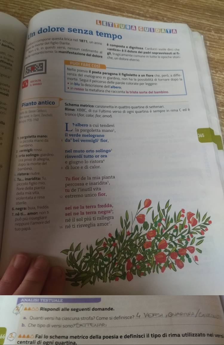 LettUra
gutdata
Un dolore senza tempo
amerte del figlio Dante
struttu   co compone questa lírica nel 1871, un anno é composta e dignitosa. Carducci vuole dirci che
barbare
Non cê, in questi versi, nessun cedimento al «antico» è il dolore del padri sopravvissuti al fi-
o n e rmanticismo: la manifestazione del dolore gli, tragicamente comune in tutte le epoche ston
itti cer a língua a
che, un dolare eterno.
Minata
PUOI FARE COS
blegato
Nella poesia il poeta paragona il figlioletto a un flore che, però, a diffe-
gioca
Ro renza del melograno in giardino, non ha la possibilita di tornare dopo la
q ascolta
morte. Segui il percorso delle parole colorate per leggere:
« BRANO * in blu la descrizione dell'albero:
poeta cieta 
* in rosso la metafora che racconta la triste sorte del bambino.
modi
lua - Pianto antico Schema metrico: canzonetta in quattro quartine di settenari.
me
Cri- =o de Gosue Carduccx  Rime: XBBC, di cui l'ultimo verso di ogni quartina è sempre in rima C ed é
tee mime, in Opero, Zanichelu tronco (fior, calor, fior, amor)
1o gglagua 1935-1940
albero a cui tendevi
la pargoletta mano³,
e il verde melograno 365
o 1. pargoletta mano:
la piccola mano da  da’ bei vermigli² fior,
oambino.
2 vermigli: rossi nel muto orto solingo
3 orto solingo: giardino rinverdí tutto or ora
pra privo di allegría,
dopo la morte del e giugno lo ristoraª
bambino.  di luce e di calor.
ristora: nutre
Tu... inaridita: Tu Tu fior de la mia pianta
piccolo figlio mio,
fore della píanta percossa e inaridita²,
della mia vita. tu de l’inutil vita
violentata e resa 12 estremo unico fior,
sterile.
6. negra: buía, fredda sei ne la terra fredda,
7. né ti... amor: non tị sei ne la terra negraº;
può piū risvegliare
neppure l'amore del né il sol piú ti rallegra
tuo papa. 16 né ti risveglia amor.
ANALISI TESTUALE
△/ Rispondi alle seguenti domande.
a. Quanti versi ha ciascuna strofa? Come si definisce?
_
b. Che tipo di versi sono?
_
66 3.  ▲ ▲▲△ Fai lo schema metrico della poesia e definisci il tipo di rima utilizzato nei versi
centrali di ogni quartina.