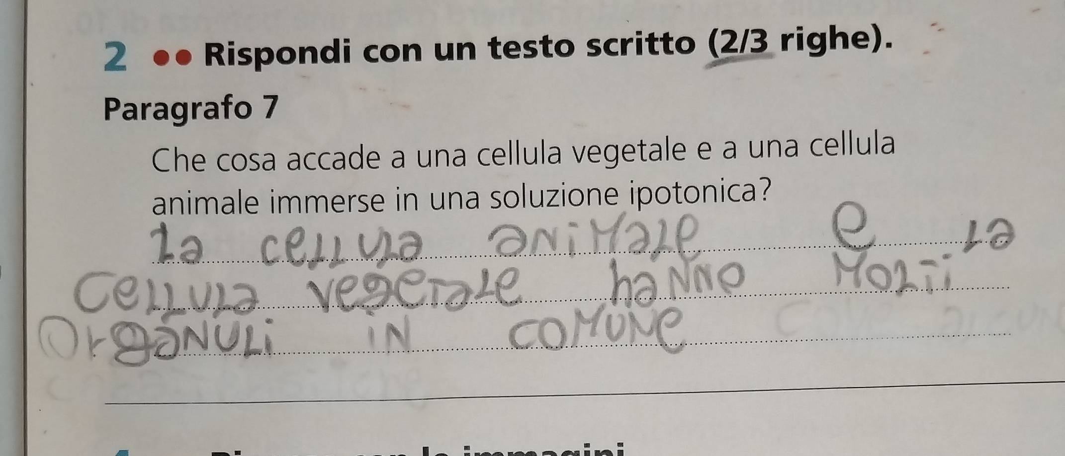 2 ●● Rispondi con un testo scritto (2/3 righe). 
Paragrafo 7 
Che cosa accade a una cellula vegetale e a una cellula 
animale immerse in una soluzione ipotonica? 
_ 
_ 
a 
_ 
_