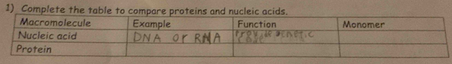 Complete the table to compare proteins and nucleic acids.