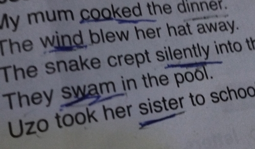 My mum cooked the dinner. 
The wind blew her hat away. 
The snake crept silently into th 
They swam in the pool. 
Uzo took her sister to schoo