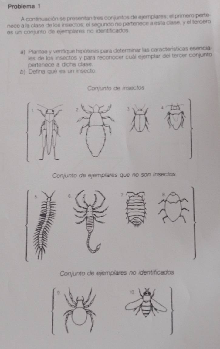 Problema 1 
A continuación se presentan tres conjuntos de ejemplares; el primero perte- 
nece a la clase de los insectos; el segundo no pertenece a esta clase, y el tercero 
es un conjunto de ejemplares no identificados. 
a) Plantee y verifique hipótesis para determinar las características esencia 
les de los insectos y para reconocer cuál ejemplar del tercer conjunto 
pertenece a dicha clase. 
b) Defina qué es un insecto. 
Conjunto de insectos 
Conjunto de ejemplares que no son insectos 
8 
Conjunto de ejemplares no identificados