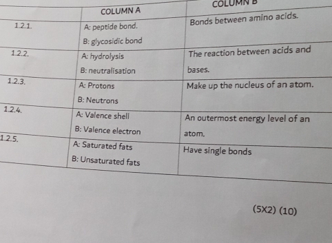 COLUMN A COLUMN B 
1 
1. 
1.2
(5X2) (10)