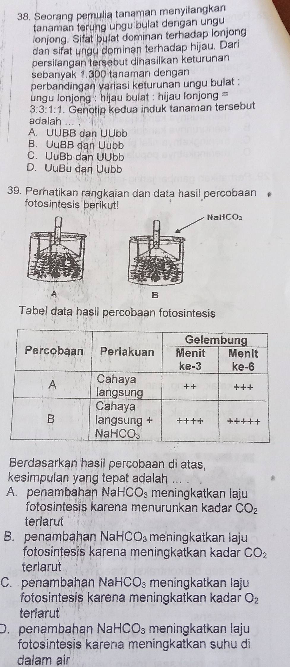 Seorang pemulia tanaman menyilangkan
tanaman terung ungu bulat dengan ungu
lonjong. Sifat bulat dominan terhadap lonjong
dan sifat ungy dominan terhadap hijau. Dari
persilangan tersebut dihasilkan keturunan
sebanyak 1.300 tanaman dengan
perbandingan variasi keturunan ungu bulat :
ungu lonjong : hijau bulat : hijau lonjong =
3:3:1:1. Genotip kedua induk tanaman tersebut
adalah ..
A. UUBB dan UUbb
B. UuBB dan Uubb
C. UuBb dan UUbb
D. UuBu dạn Uubb
39. Perhatikan rangkaian dan data hasil percobaan
fotosintesis berikut!
A
Tabel data hasil percobaan fotosintesis
Berdasarkan hasil percobaan di atas,
kesimpulan yang tepat adalah ... .
A. penambahan Na HCO_3 meningkatkan laju
fotosintesis karena menurunkan kadar CO_2
terlarut
B. penambahan Na HCO_3 meningkatkan laju
fotosintesis karena meningkatkan kadar CO_2
terlarut
C. penambahan Na HCO_3 meningkatkan laju
fotosintesis karena meningkatkan kadar O_2
terlarut
D. penambahan NaHCO_3 meningkatkan laju
fotosintesis karena meningkatkan suhu di
dalam air