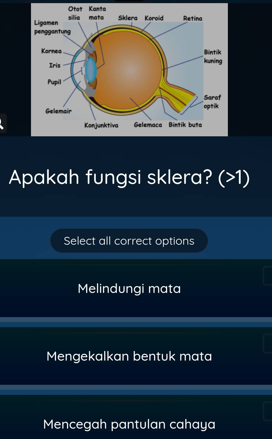 Apakah fungsi sklera? (>1)
Select all correct options
Melindungi mata
Mengekalkan bentuk mata
Mencegah pantulan cahaya