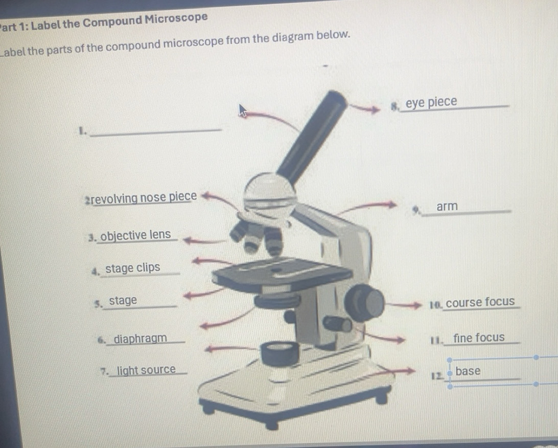 Solved: Label the Compound Microscope Label the parts of the compound ...